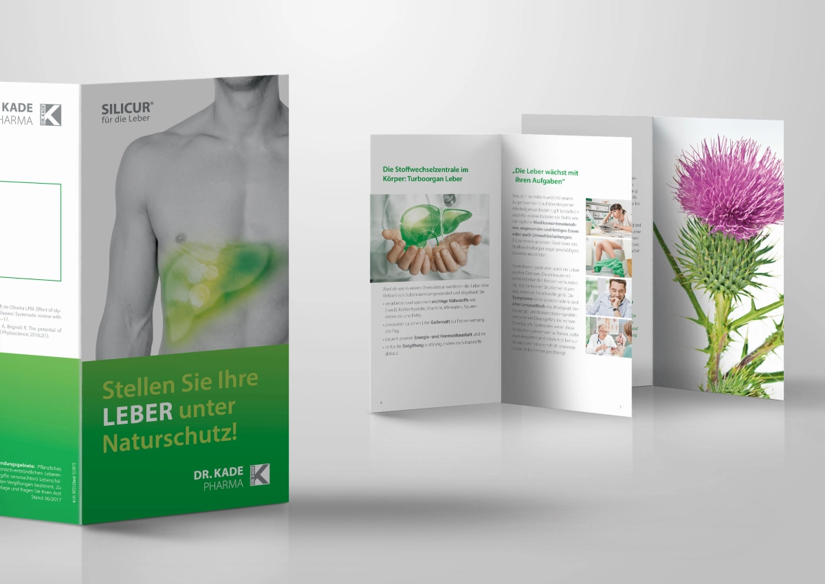Flyer Silicur Pharma Kampagne 