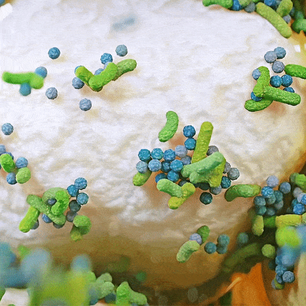 HydroClean® – Wundreinigung mit innovativem Saug-Spül-Mechanismus